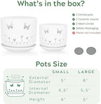 2 Pack, 5 + 6 Inch White Orchid Pots with Butterflies and Tulips Holes, Ceramic Orchid Planters for Repotting with Drainage Holes - Image 4