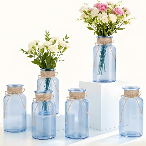 6 Pack Mason Jar Vases for Centerpieces, Blue Glass Flower Vase by LEYIQU