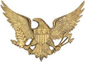 Linton Arst Cast Iron American Eagle Wall Decor, 3.79lb Vintage Gold Eagle Statue Plaque, Freedom Flyer Eagle Plaque for Indoor Outdoor Wall Hanging Decor by LintonArts