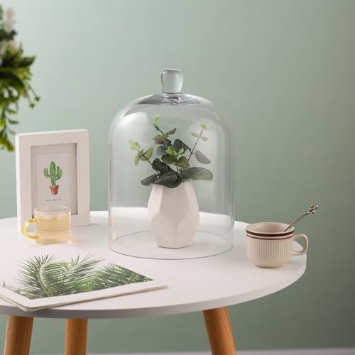 10" Tall Large Handmade Sturdy Glass Cloche, Dia 7.3" H 10.6", For Terrarium, Plants, Trinkets, Cakes, Figurines, LED Light String, Candle. Cloche Glass Dome, Bell Jar Display Case (1, 7.5 * 10.6") - Image 5