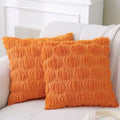Halloween Throw Pillows with Inserts, 2 Pack, 18" x 18" by AkiiGer