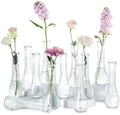NUPTIO Glass Bud Vases Centerpiece Bulk, 8.5" Tall, Clear, Set of 12 by Nuptio