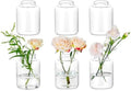 Glasseam Bud vases Set of 6: Glass Vases for Centerpieces Modern Small Vases for Home Table Shelf Wedding Party Decoration - Clear Vase for Flowers Stem Roses Tuilps Cuttings by Glasseam