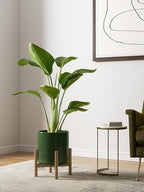 LE TAUCI 10+8+6 Inch Ceramic Pots for Plants, Indoor Planters with Drainage Hole and Plug, Modern Cylinder Flower Pots Set of 3 for Living Room and Kitchen, Glossy, Bamboo Green - Image 3