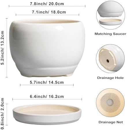 SQOWL Ceramic Planters for Indoor Plants - 8 Inch Plants Pot, Round Outdoor Flower Pot with Drainage Hole and Saucer, Decorative Modern Planter, Kitchen Decor, House Gifts, White - Image 3