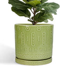 Eightpot Ceramic Planter - 12 Inch Pots for Plants Indoor Outdoor, Round Large Flower Pots with Drainage Hole and Saucer, Decorative Boho Planter, Home Office Decor, Plant Lover Gifts, Green by Eightpot