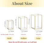 Hewory Glass Hurricane Candle Holder, 3Pcs Gold Rectangle Flower Holders - Image 2