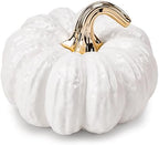 7.9 Inch Realistic Fake White Pumpkin Decoration Ceramic Figurines by Quancru