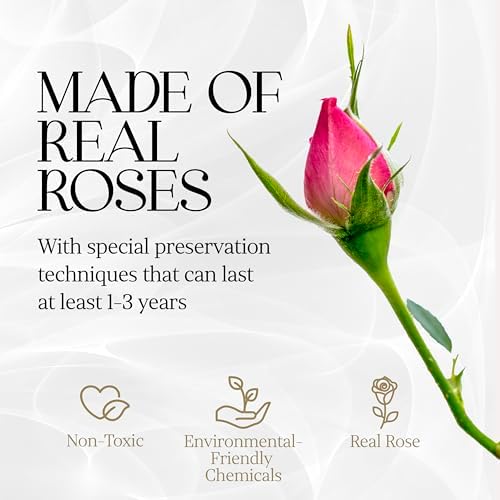 GLAMOUR BOUTIQUE Preserved Flowers, 7 Forever Pink Roses in Heart Gift Box - Image 4