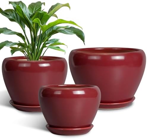 Ceramic Pots for Plants - 10 Inch 8 Inch 6 Inch Plant Pots with Drainage Holes and Saucers Large Planters for Indoor Plants Decorative Outdoor Flower Pots Set of 3 Red by EPFamily