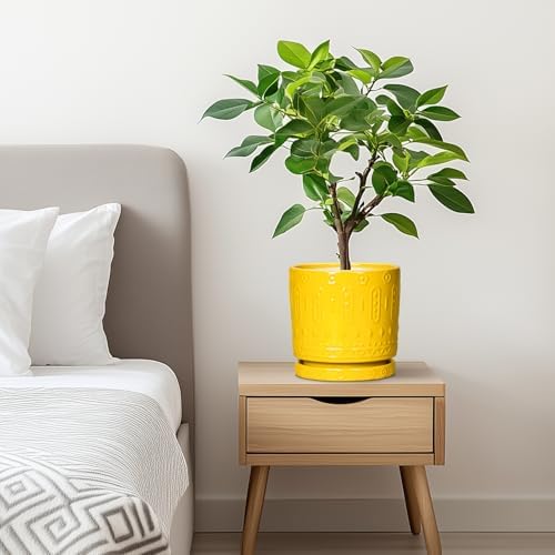 Eightpot 6 Inch Pots for Plants, Ceramic Pots for Plants with Drainage Holes and Tray, Round Planter for Indoor Outdoor, Modern Plant Pot, Decorative Flower Pot, Table Decor, Teacher Gift, Yellow - Image 7