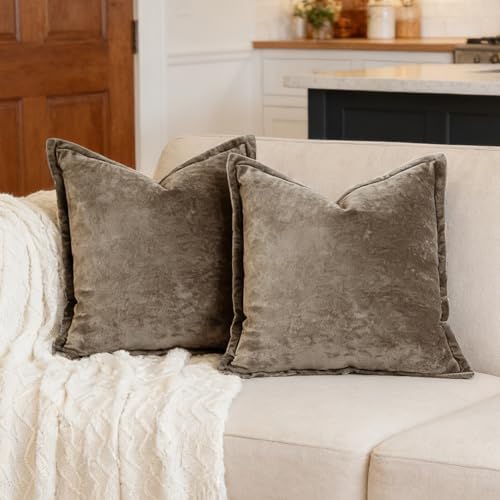 Luxurious Velvet Throw Pillow Covers 20x20 Set of 2 Decorative Pillow Covers Solid Square Cushion Case for Sofa Couch Bedroom Farmhouse, Brown by COCOPLOCEUS