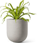 LE TAUCI 6 Inch Ceramic Plant Pot, Small Indoor Planter, Neutral Gray by LETAUCI