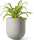 LE TAUCI 6 Inch Ceramic Plant Pot, Small Indoor Planter, Neutral Gray by LETAUCI