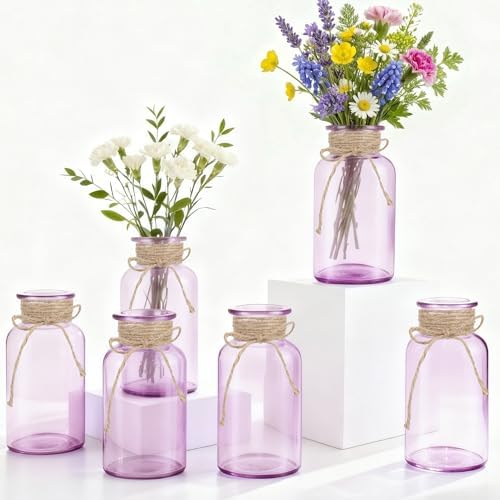 6 Pack Mason Jar Vases for Centerpieces, Purple Glass Flower Vase by LEYIQU