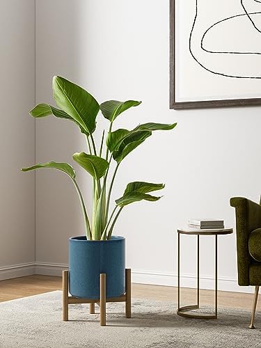 LE TAUCI 10+8+6 Inch Ceramic Pots for Plants, Indoor Planters with Drainage Hole and Plug, Modern Cylinder Flower Pots Set of 3 for Living Room and Bedroom, Glossy, Harbor Blue - Image 3