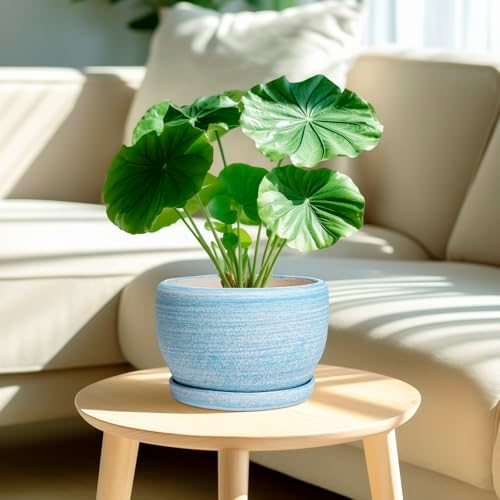SQOWL Ceramic Planter - 8 inch Pot for Plants Indoor Outdoor, Modern Ceramic Flower Pot with Drainage Hole and Saucer, Decorative Round Planter, Home Office Decor, Plant Lovers Gifts, Blue - Image 2