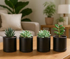 D'vine Dev 4-Pack Ceramic Pots with Saucers, Black, 3.5 in, 94-X-A-2 - Image 5