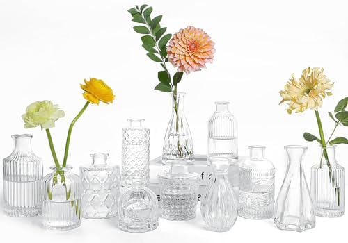 UPBUD Clear Glass Bud Vases Set of 12, Small Vases for Flowers by UPBUD