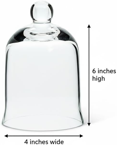Abbott Collection 27-Carolyn-SM Cloche, 6 inches H, Clear (Pack of 2) - Image 2