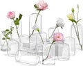 ZENS Bud Vases in Bulk Set of 12, Modern Small Glass Vases for Flower Clear Bud Vases for Wedding Centerpiece, Blown Thicker Small Vase for Flowers, Wedding Party Decorative, Home Bathroom Decor by ZENSLIFESTYLE