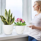 QRRICA 7/7.5/8/9/10 Inch Self Watering Pots for Indoor/Outdoor Plants - Image 6