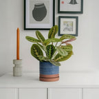 HERDUK 6 Inch Plant Pots, Ceramic Planter Pot with Drainage Hole & Saucer, Indoor/Outdoor Cylinder Round Planter Pot, Aqua Blue & Terracotta Red - Image 2