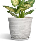 Ceramic Pots for Plants - 5.6 Inch Plant Pot with Drainage Hole and Tray, Round Succulents Pots for Indoor Outdoor, Decorative Planters, Home Room Office Decor, Gifts for Plant Lovers, Grey by SUNPOTFOR