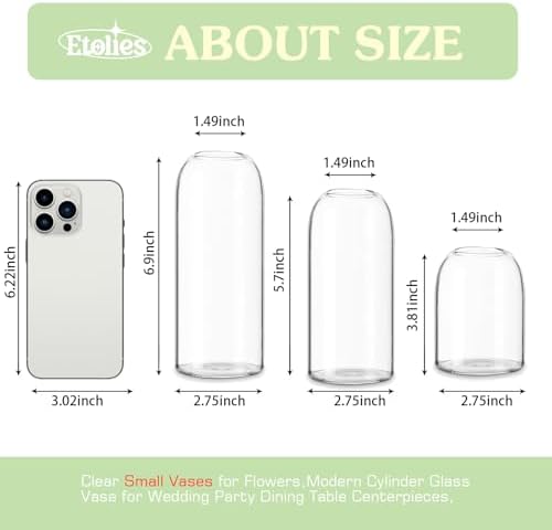 Etolies Glass Bud Vases in Bulk Set of 12, Clear Small Vases for Flowers,Modern Cylinder Glass Vase for Wedding Party Dining Table Centerpieces, Living Room Decorative, Home Decor. - Image 2