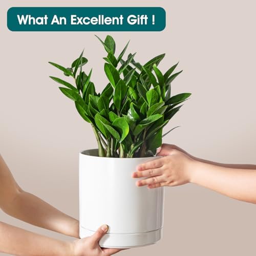 vancasso Ceramic Plant Pots, 8.25 Inch Ceramic Pot for Plants, Planters Pots for Indoor Plants with Drainage Holes, Flower Pot for Indoor House Plant, White - Image 4