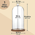 Farmlyn Creek Glass Dome Cloche Display Case - 5.1 x 5.1 x 10 in, Clear Dome & Wood Base - Cloche & Glass Cover - Succulent & Collectible Display - Image 5