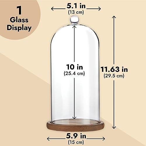 Farmlyn Creek Glass Dome Cloche Display Case - 5.1 x 5.1 x 10 in, Clear Dome & Wood Base - Cloche & Glass Cover - Succulent & Collectible Display - Image 5