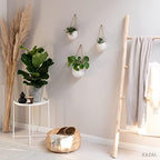 Kazai. Wall Planters -Ellie- | Hanging Ceramic Plant Pots 3 Pieces | Wall Decoration for Indoors, Balcony and Garden | Cream (Matte) - Image 7