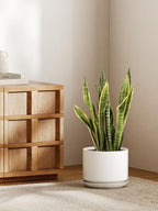 LE TAUCI 10 inch Plant Pot, Ceramic Pots for Plants, White - Image 2