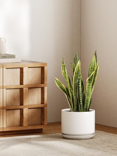 LE TAUCI 10 inch Plant Pot, Ceramic Pots for Plants, White - Image 2