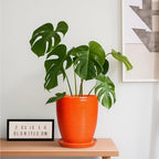 8 Inch Plant Pot, Ceramic Planters for Plants with Drainage and Saucer, Orange - Image 3