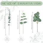 Giegxin 270 Pcs Mixed Artificial Eucalyptus Leaves Stems Bulk Green - Image 2