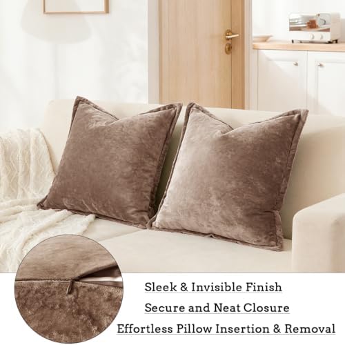 Luxurious Velvet Throw Pillow Covers 20x20 Set of 2 Decorative Pillow Covers Solid Square Cushion Case for Sofa Couch Bedroom Farmhouse, Brown - Image 6