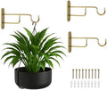 Ilyapa 3 Pack Metal Wall Plant Hangers - 7 Inch Plant Hanger for Indoor - Rustic Brass Finish Hooks for Hanging Plants, Baskets, and Macrame - Indoor Hangers for Plants, Lanterns or Wind Chimes by Ilyapa