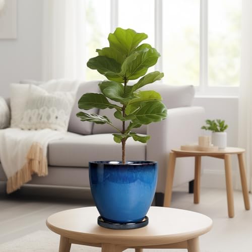 8 Inch Planter - Ceramic Plant Pot with Drainage Hole and Tray Round Planter Modern Flower Pot for Room Home Office Patio Porch Garden Decor Blue - Image 4