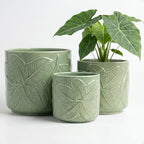 Ceramic Pots for Plants Set of 3, 6, 5, 4 Inch Diameter with Drainage Holes by HBDesignCo