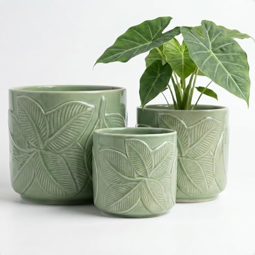 Ceramic Pots for Plants Set of 3, 6, 5, 4 Inch Diameter with Drainage Holes by HBDesignCo