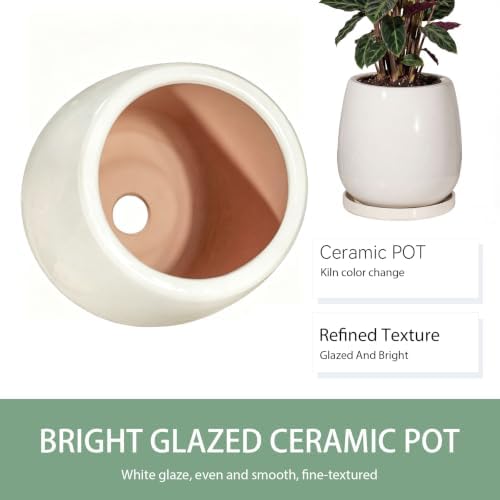 10.3 Inch Ceramic Glaze Plant Pot with Saucer, Flower Pots with Drainage Hole Mesh Net(Hemp-Gray Dot) - Image 6