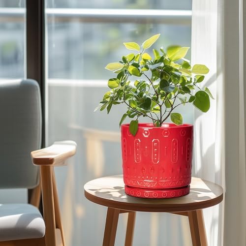 Eightpot Ceramic Plant Pots, 8 Inch Plant Pots Indoor Outdoor, Round Flower Pot with Drainage Hole and Sacuer, Boho Pot for Plants, Decorative Planter, Home Room Bathroom Decor, Garden Gifts, Red - Image 3