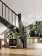 LE TAUCI Ceramic Planter, 10 Inch, Large Plant Pot, Indoor Plant Pot, Black - Image 2