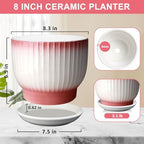 8 Inch Ceramic Plant Pot, Pink + White - Image 3