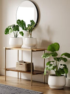 LE TAUCI Ceramic Planter, 10 Inch, Large Plant Pot, Indoor Plant Pot, White - Image 4