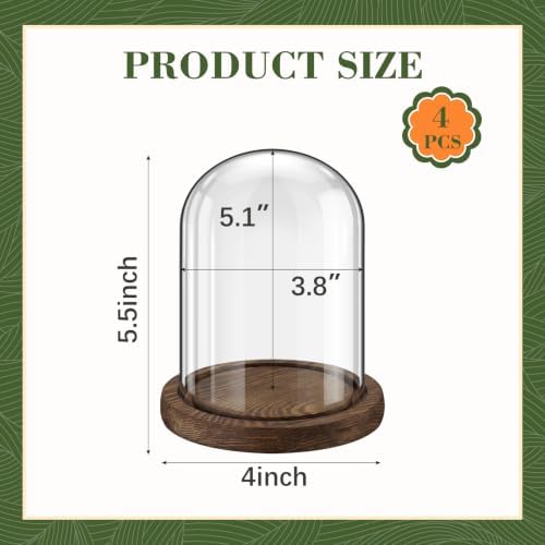 Suclain 4Pc Glass Dome Cloche with Wood Base, Brown, 5.1" X 3.8" - Image 2