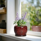 SQOWL Ceramic Pot for Plants - 6 Inch Plant Pot Indoor with Drainage Hole and Saucer, Decorative Flower Pot Outdoor, Round Succulent Planter, Front Porch Decor, House Warming Gifts New Home, Red - Image 2