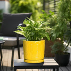 Eightpot Ceramic Pots for Plants, 10 Inch Plant Pot with Drainage Holes and Tray, Round Planter for Indoor Outdoor Plants, Modern Decorative Flower Pots, Office Decor, Birthday Gift for Women, Yellow - Image 5